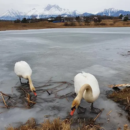 Panorama Σπίτι διακοπών Mlynceky