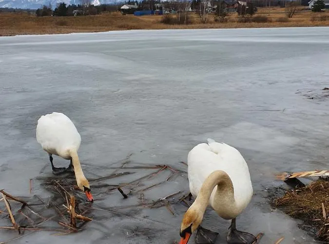 Panorama Casa de Férias Mlynceky